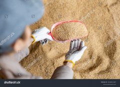 饲料应用指导支持